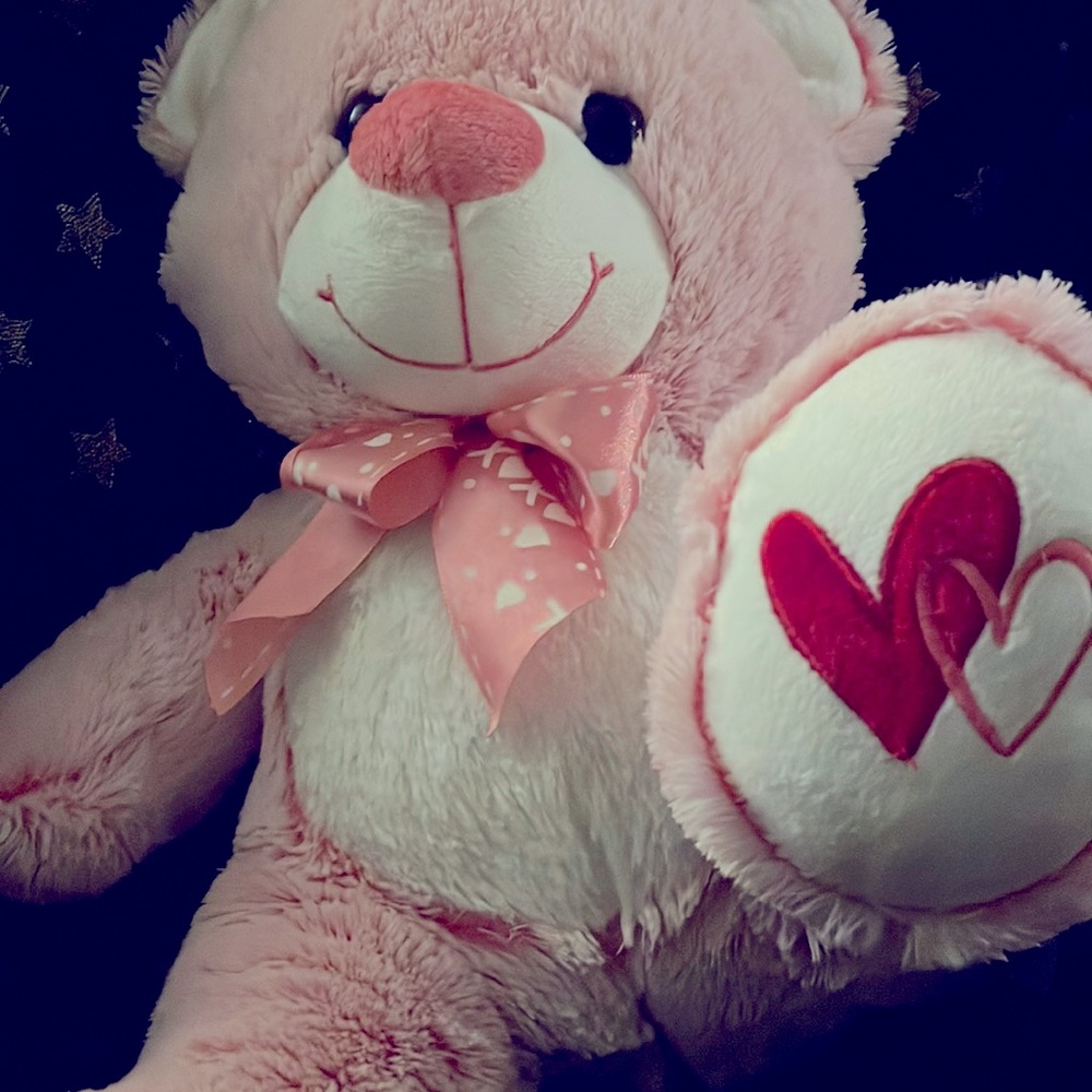 Pink Valentines Day Bear Stuffed Animal
